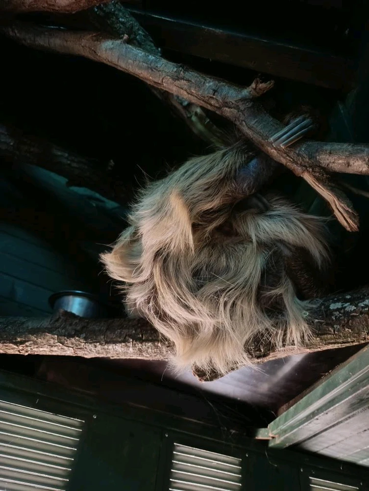 Obrázek nahrál Mája