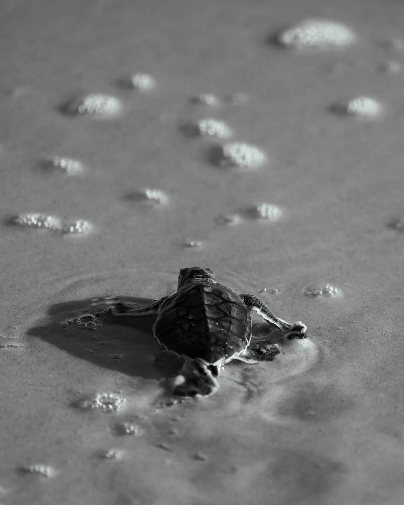 Image uploaded by chris*