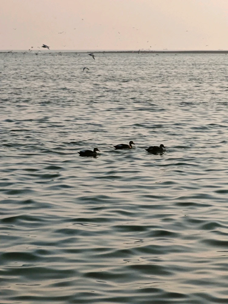 GIF uploaded by Yash