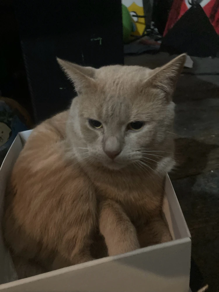 GIF uploaded by Paul