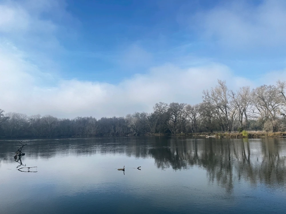 Image uploaded by Bria