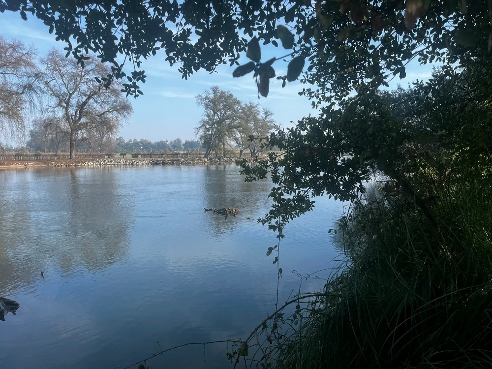 Image uploaded by Bria