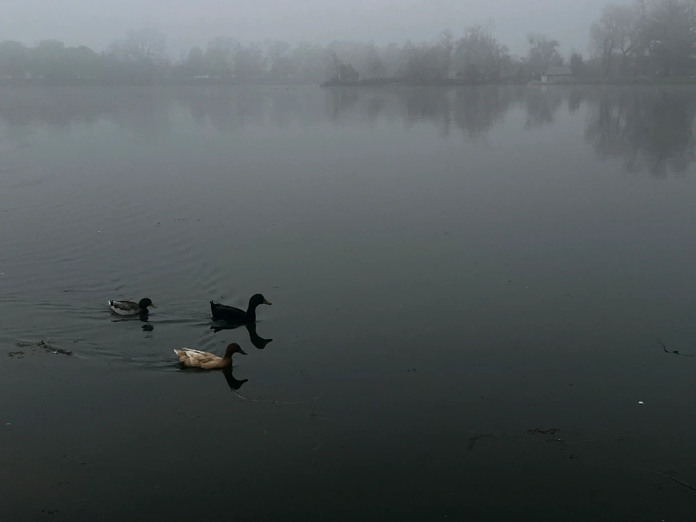 Image uploaded by Bria