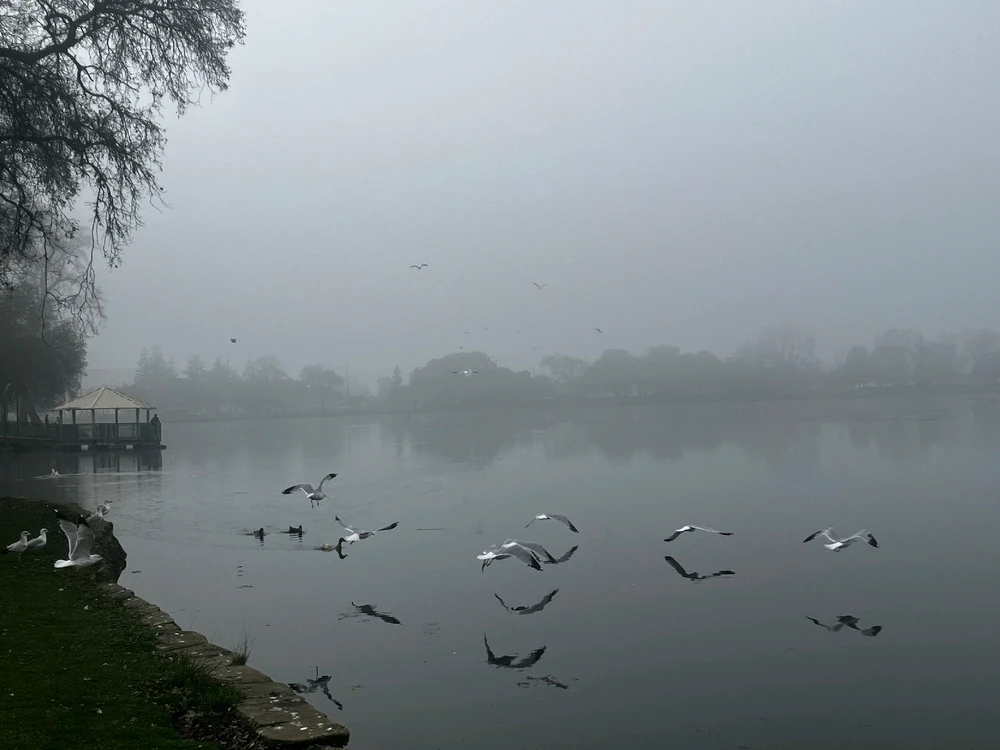 Image uploaded by Bria