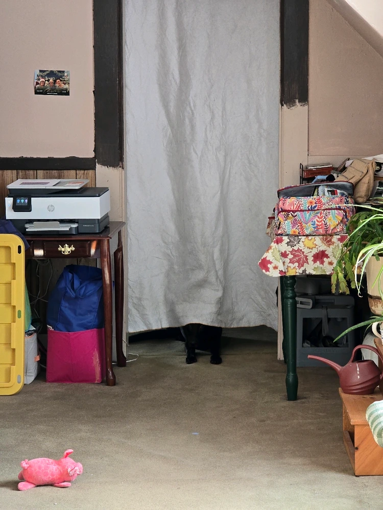 Image uploaded by Michael B