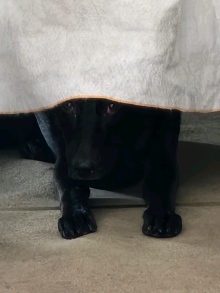 Image uploaded by Michael B