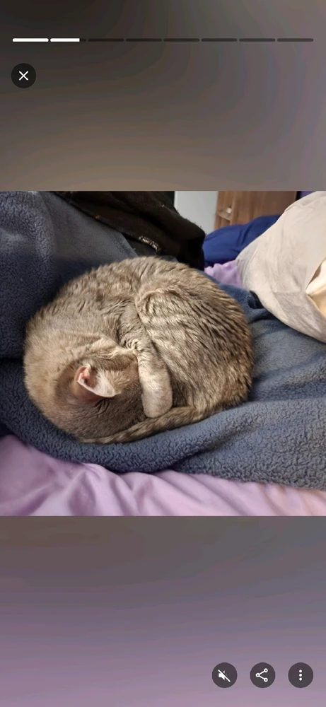 GIF uploaded by Michelle