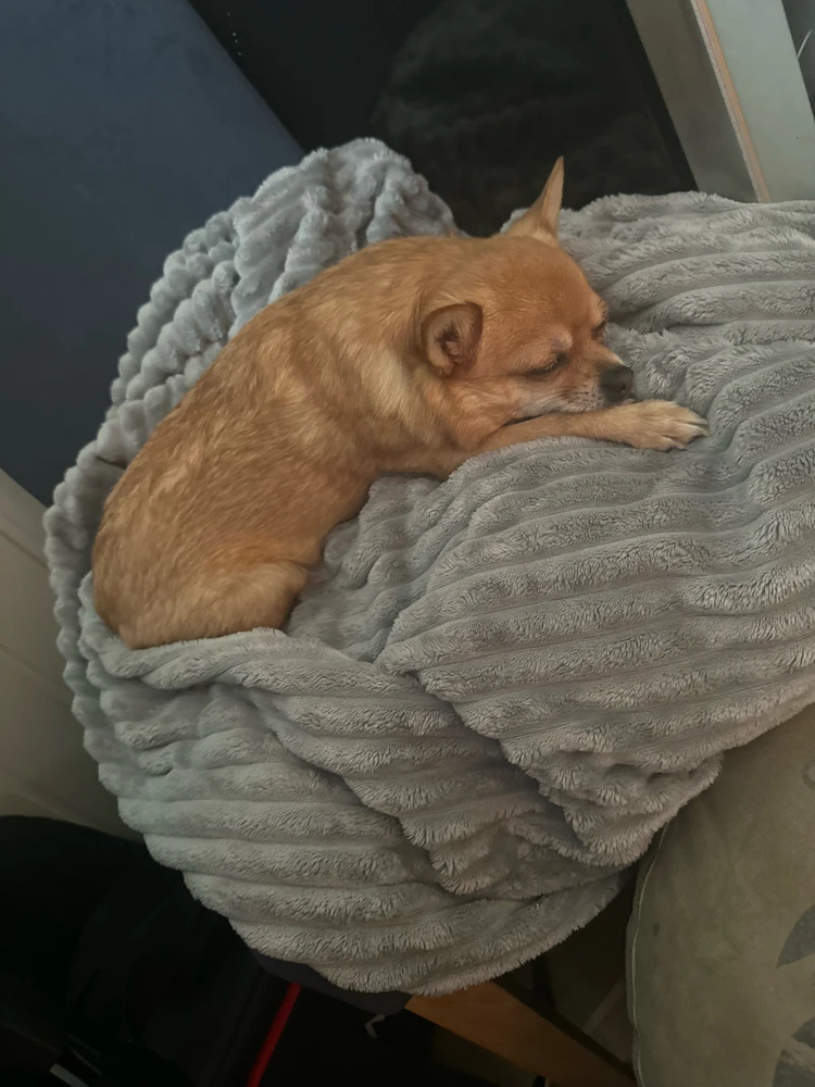 Image uploaded by Kristoffer