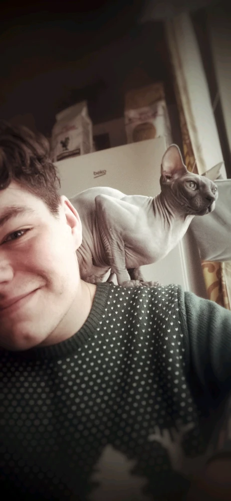 Гіфку завантажив Dmytro