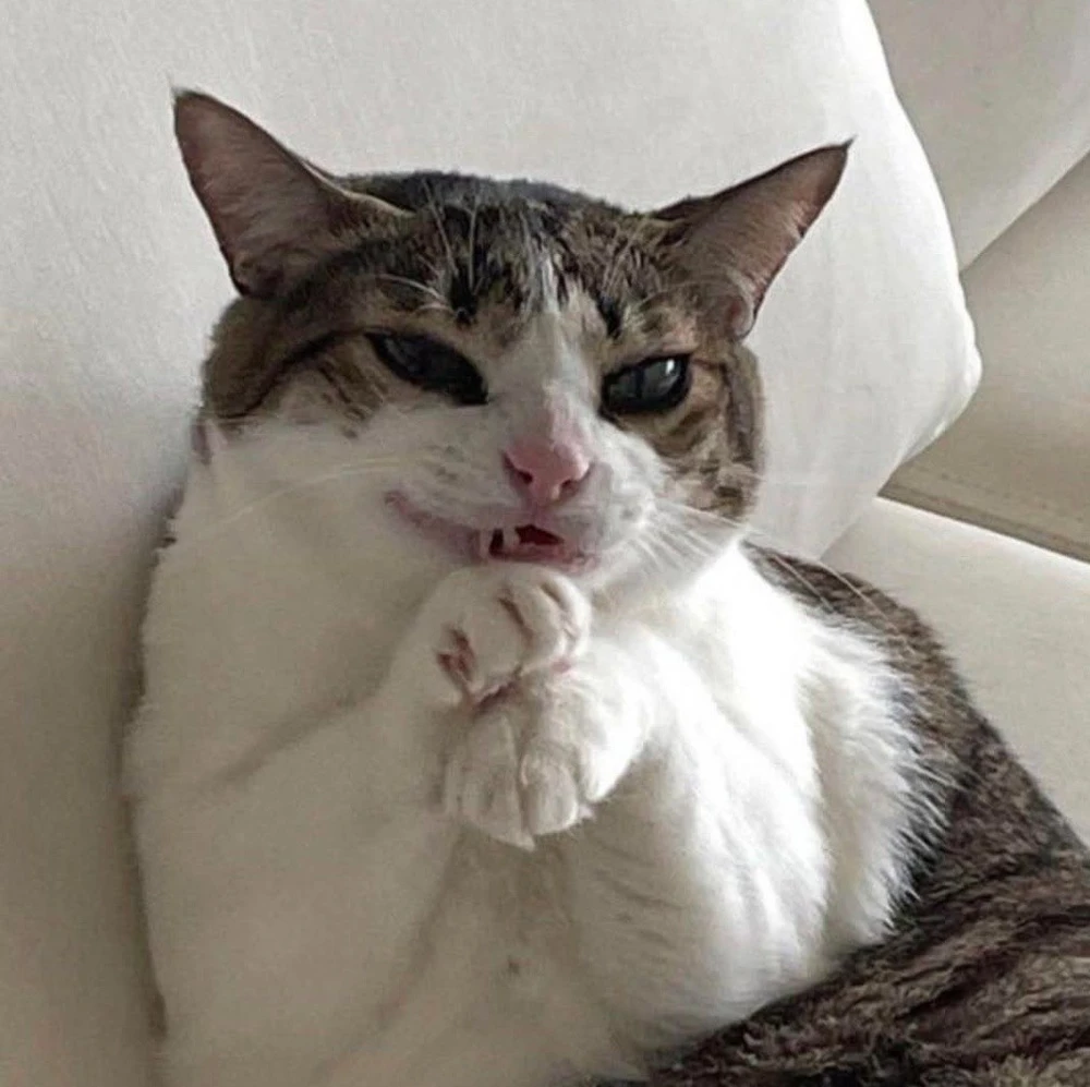 Imagen subida por benjamin guevara