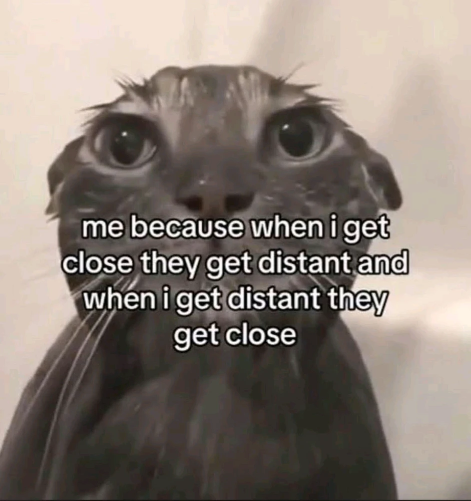 GIF uploaded by Carla