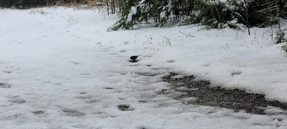 GIF uploaded by Jonah