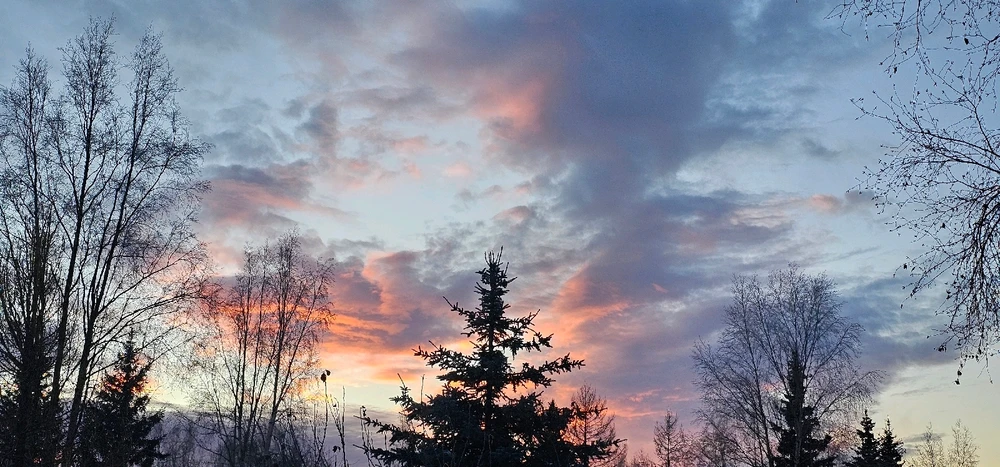 GIF uploaded by John