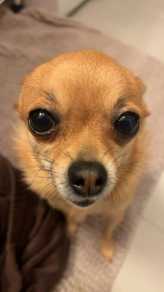 Image uploaded by Kristoffer