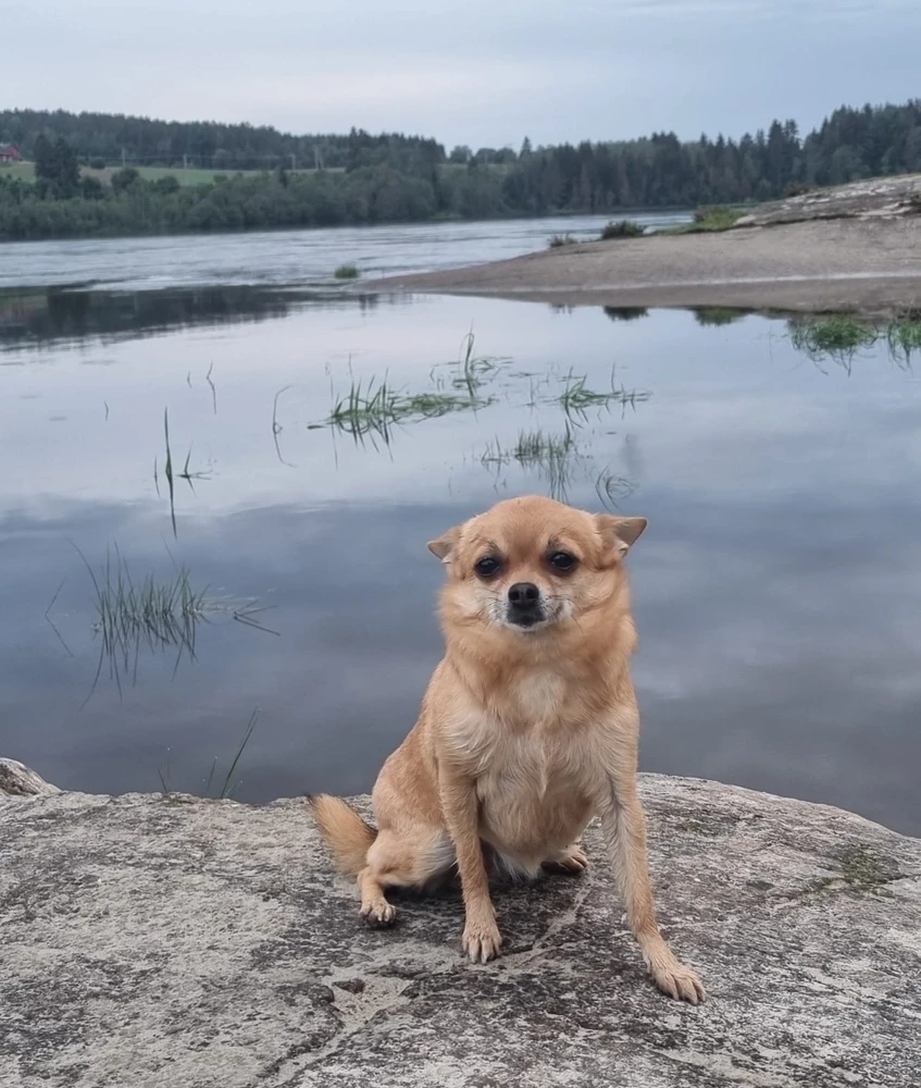 Image uploaded by Kristoffer