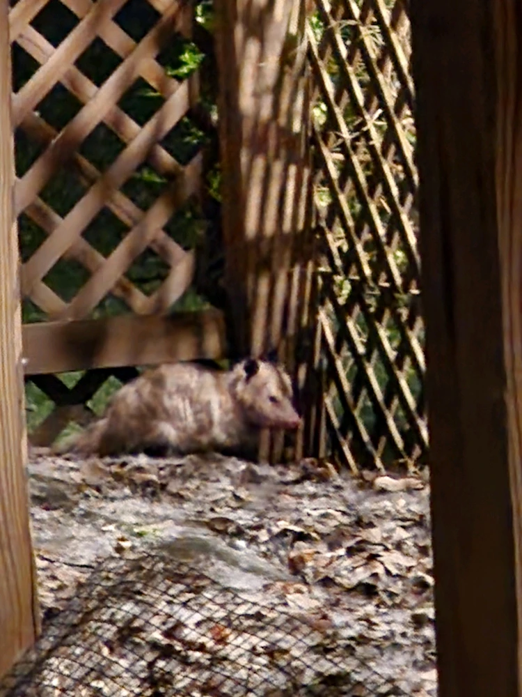 GIF uploaded by Mike