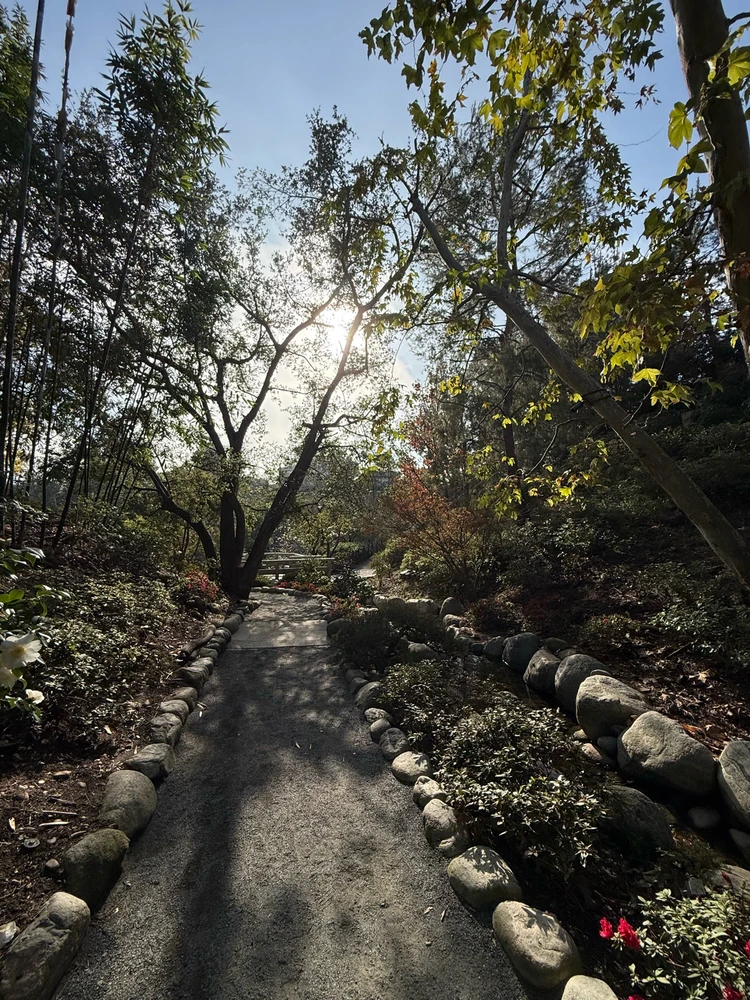 Image uploaded by Guy-O-Blanco