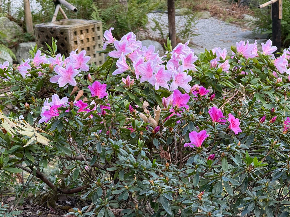 Image uploaded by Guy-O-Blanco