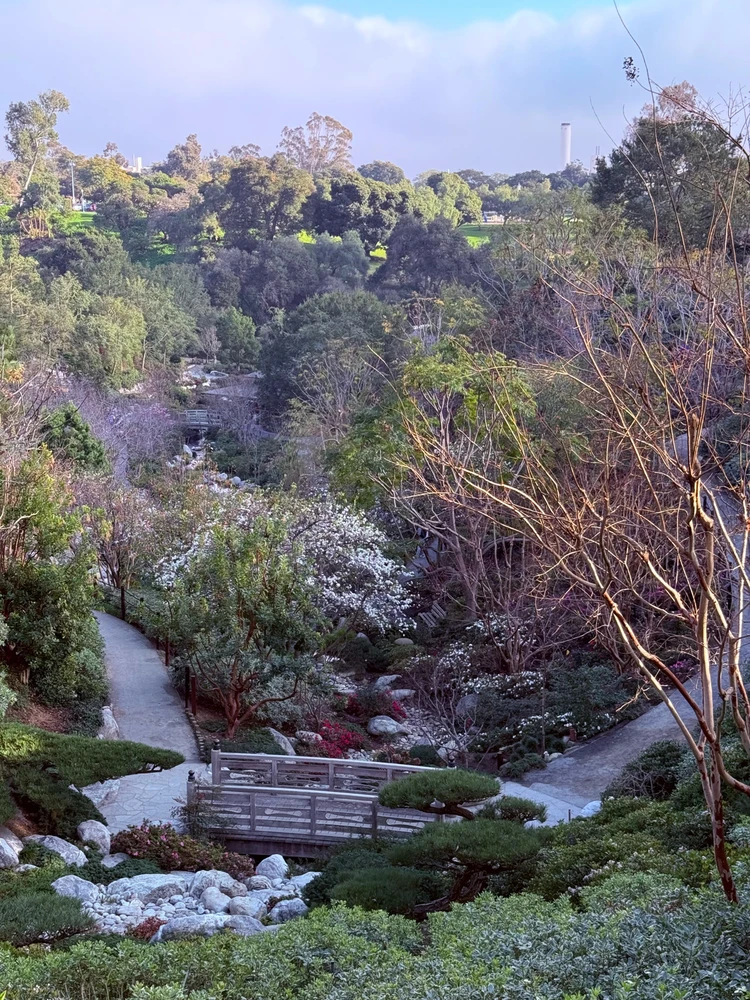 Image uploaded by Guy-O-Blanco