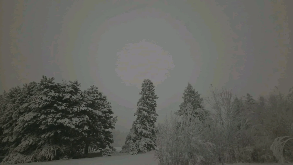 GIF ajouté par Laurent