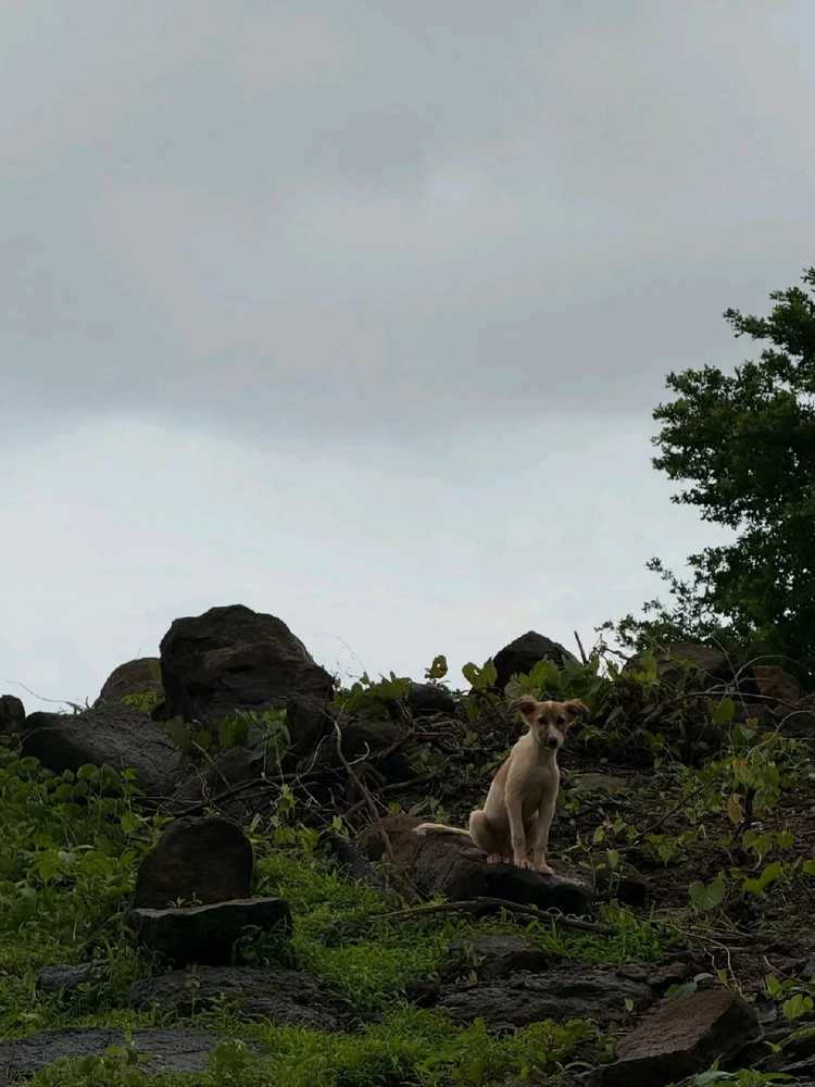 GIF uploaded by Kushal