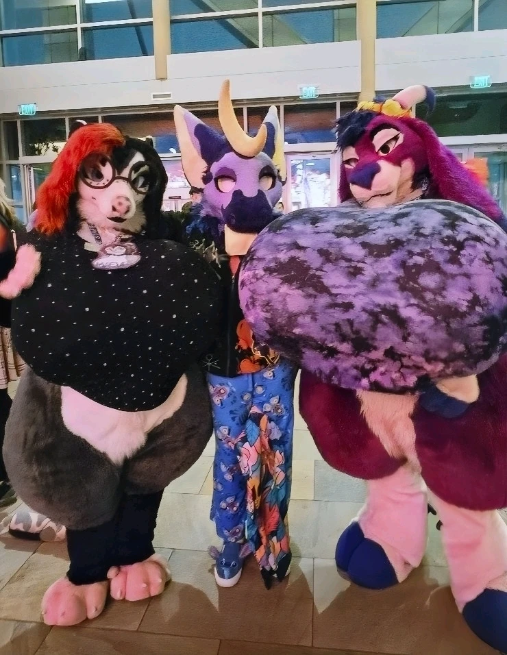 Image uploaded by Mochi