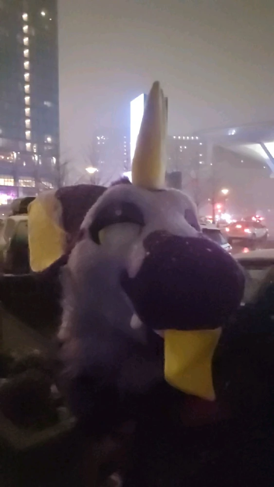 Image uploaded by Mochi