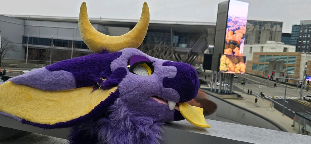 Image uploaded by Mochi