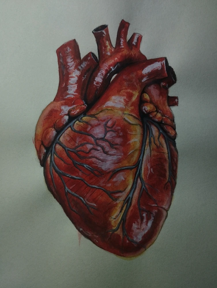 GIF subido por Santiago M