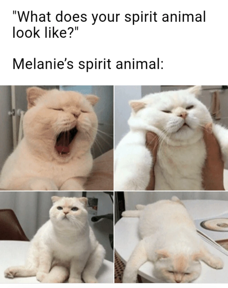 GIF uploaded by Melanie