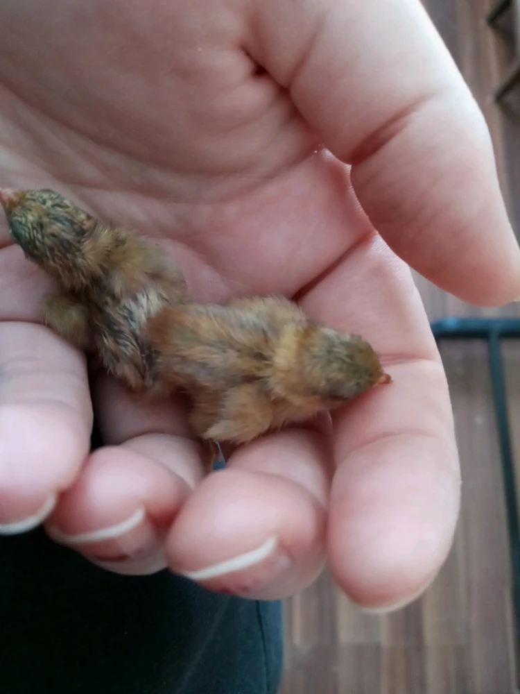 GIF uploaded by Brooke