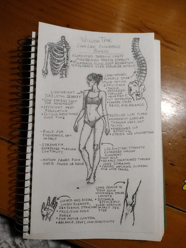 GIF uploaded by Taylor