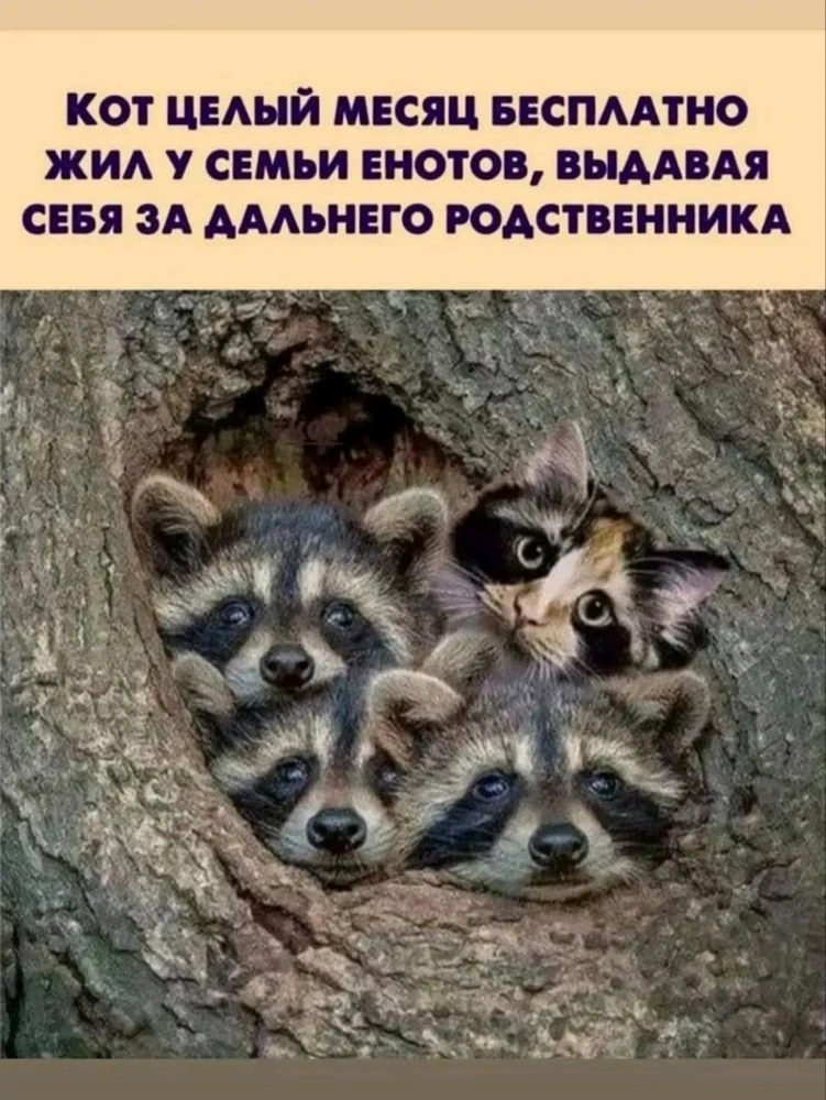 GIF uploaded by Andrey