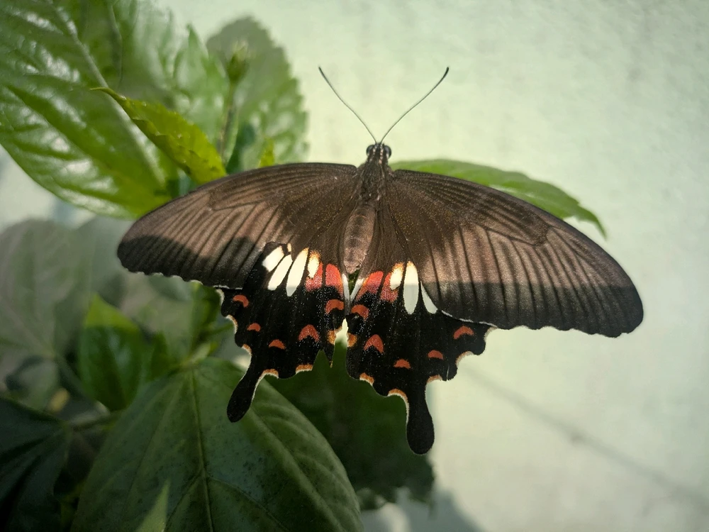 GIF uploaded by Ravi