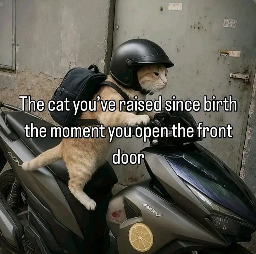 GIF uploaded by Dragoness