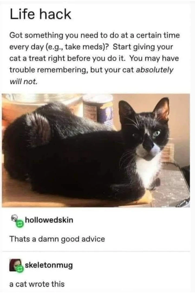 GIF uploaded by 🌙✨ℳℯ𝓁𝒶𝓃𝒾𝓆𝓊ℯ✨🌙