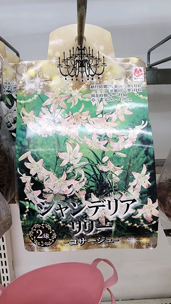 Image uploaded by Rob