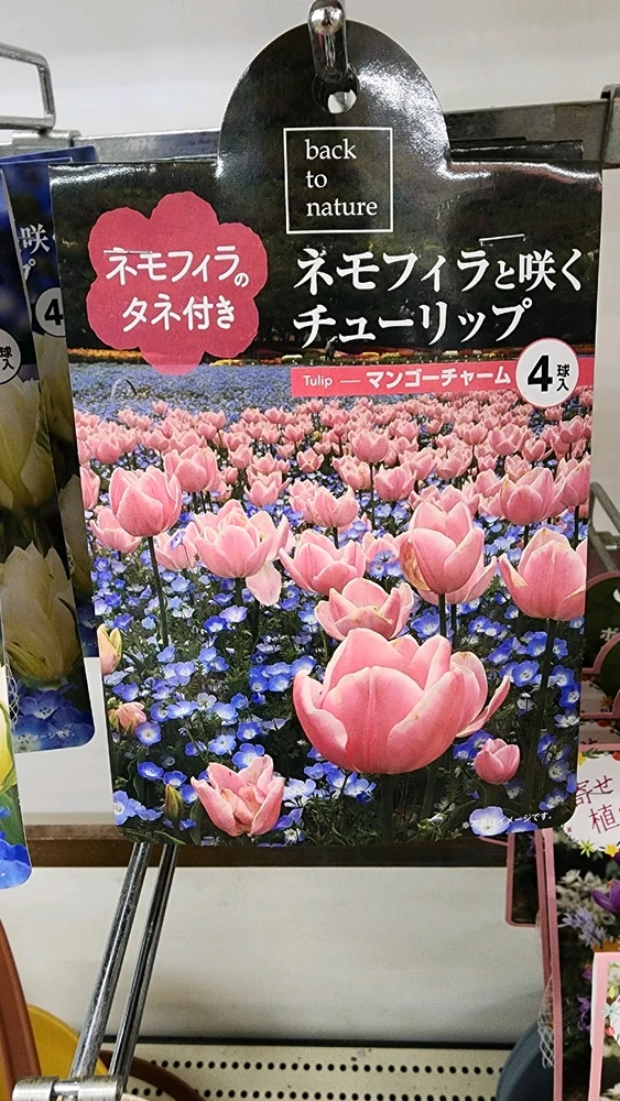 Image uploaded by Rob