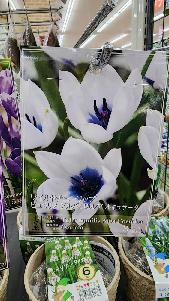 Image uploaded by Rob