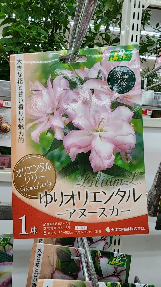 Image uploaded by Rob