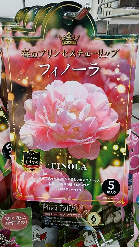 Image uploaded by Rob