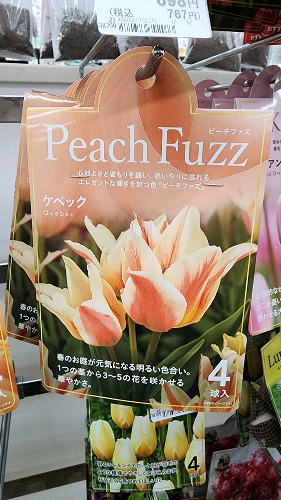 Image uploaded by Rob