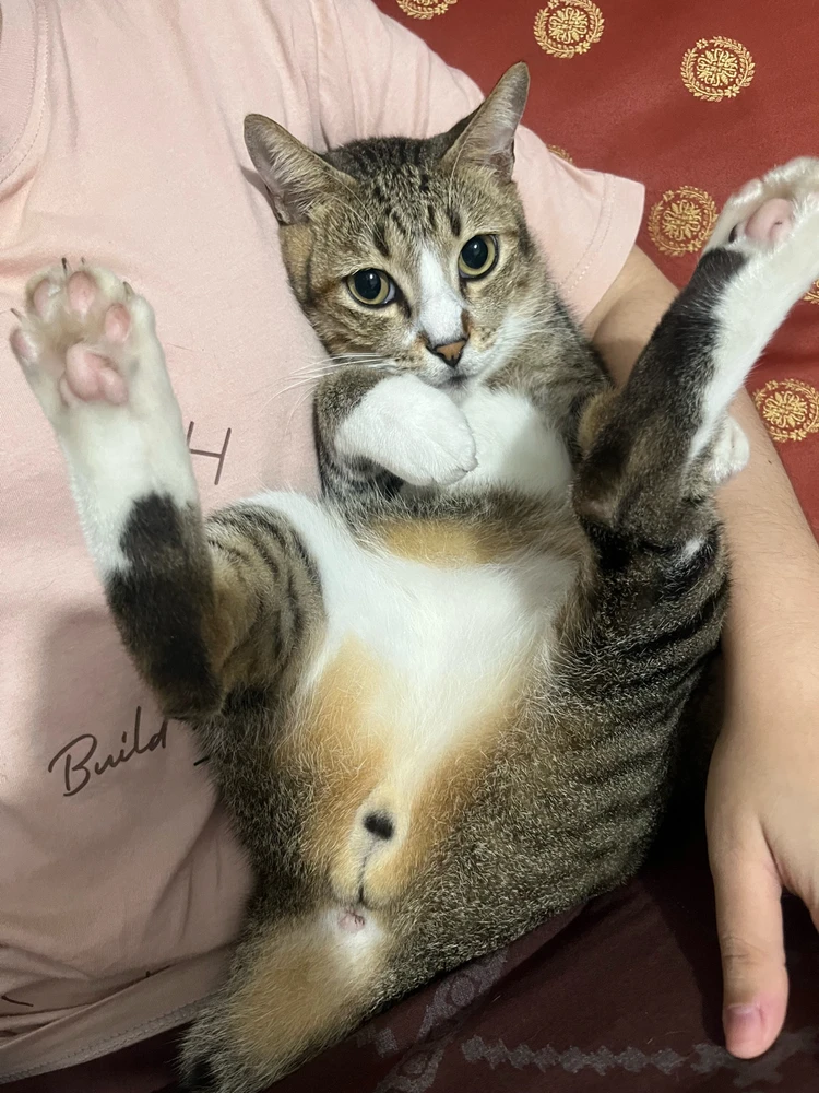 Image uploaded by Dana