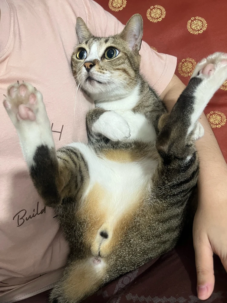 Image uploaded by Dana