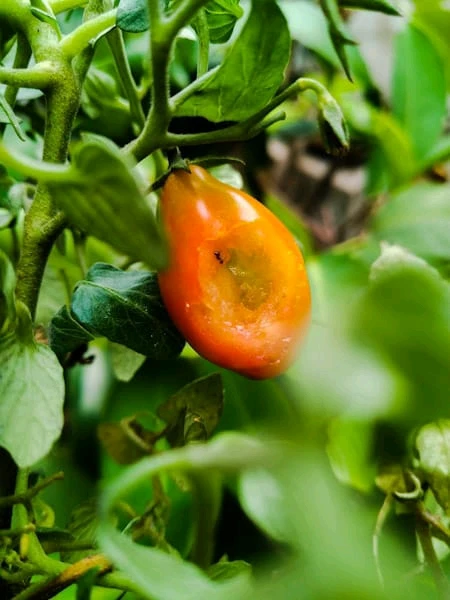 GIF uploaded by Melt