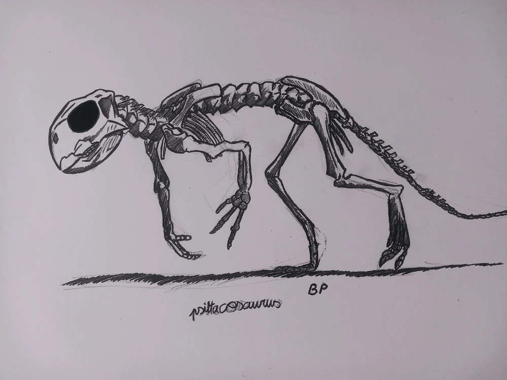 Image ajoutée par Bookchin