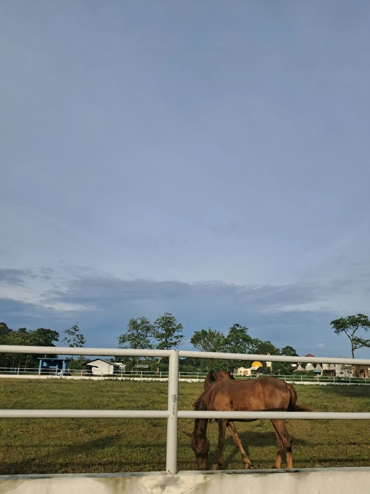 Gambar diunggah oleh Anisah