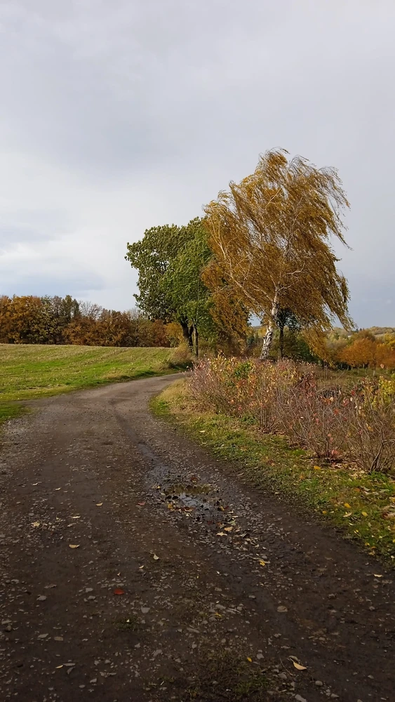 Image uploaded by Ursula