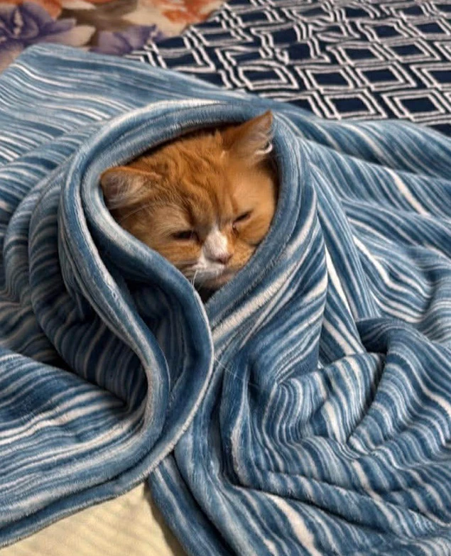 GIF uploaded by Hiral