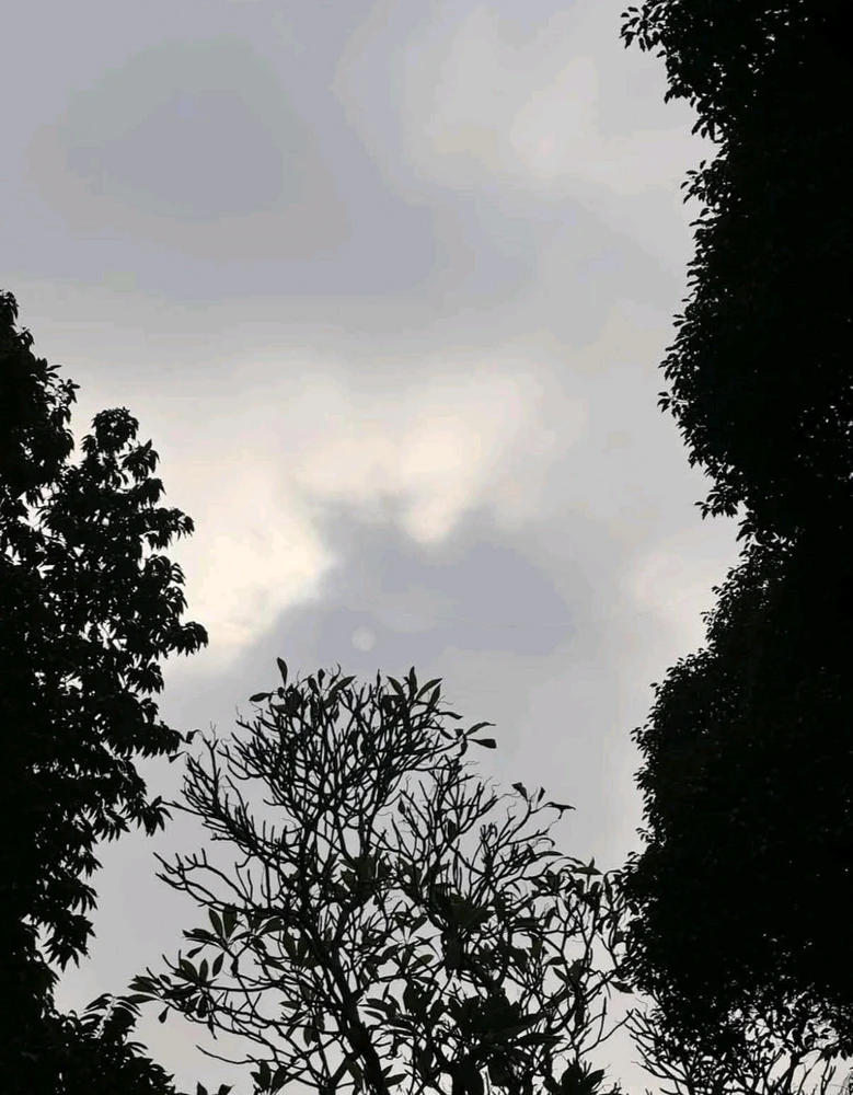 Image uploaded by πJπoπeπyπ